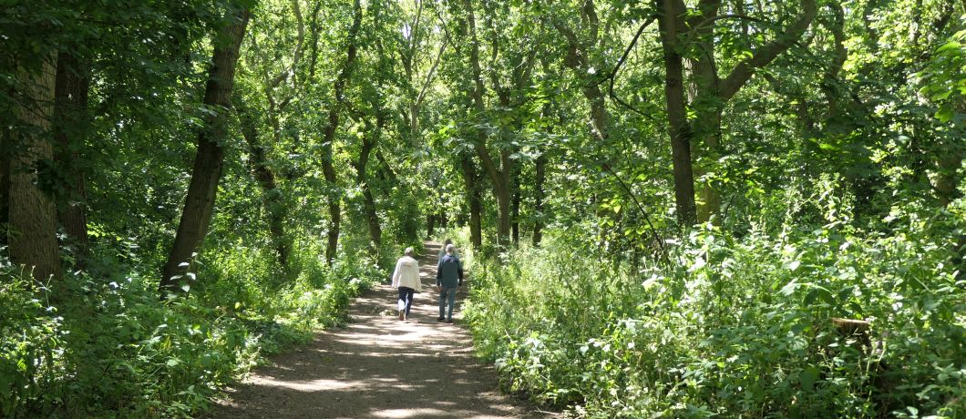 Bospad op het landgoed tijdens de wandeling Kunst en Historie rond Ockenburgh.