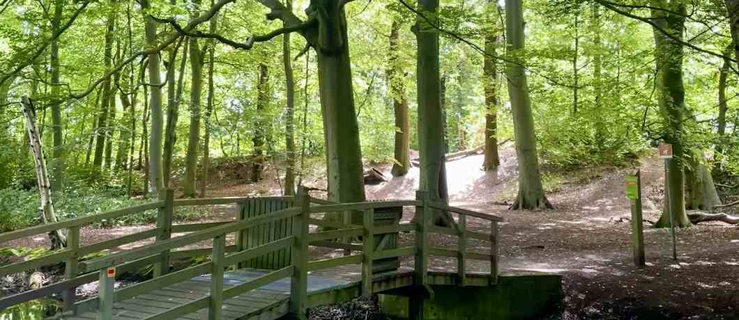 Het open parkbos met bruggetjes van landgoed Ockenburgh bij Den Haag.