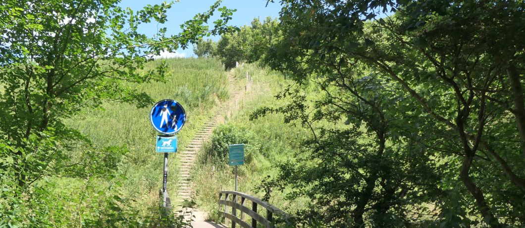 De trap omhoog naar de begroeide puinduinen Ockenburgh.