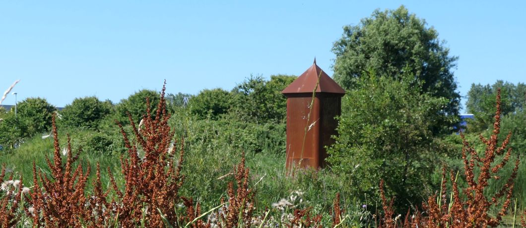De bruine schapenzuring en sculptuur van cortenstaal op De Nollen bij Den Helder.