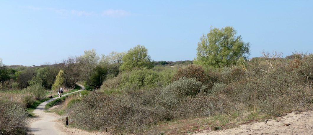 Wandelen door de Van Dixhoorndriehoek vanuit vakantiehuis de Cocondo bunker bij Hoek van Holland.