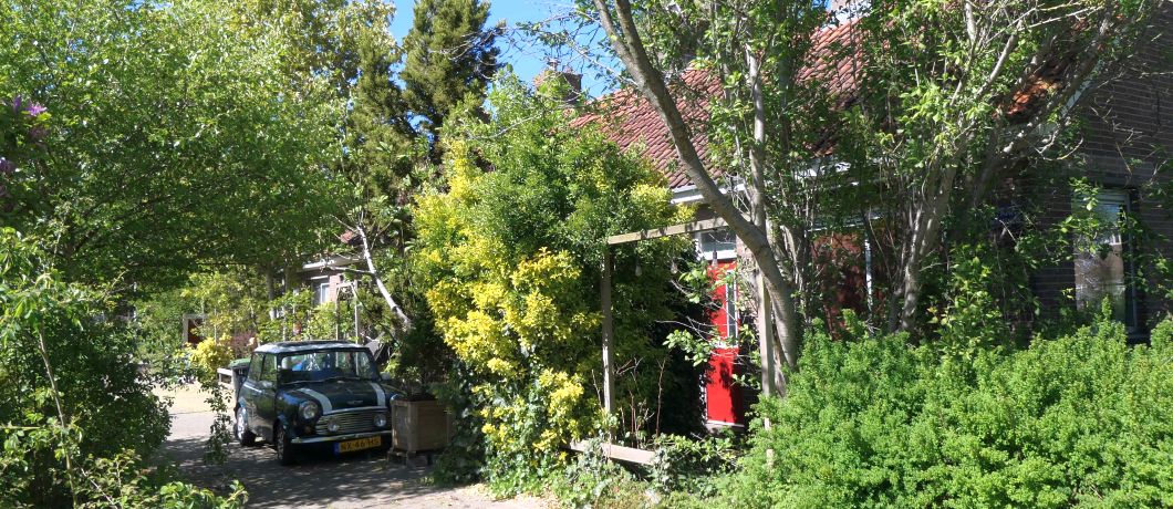 Straatje in Amsteldorp, tijdens de wandeling Betondorp.