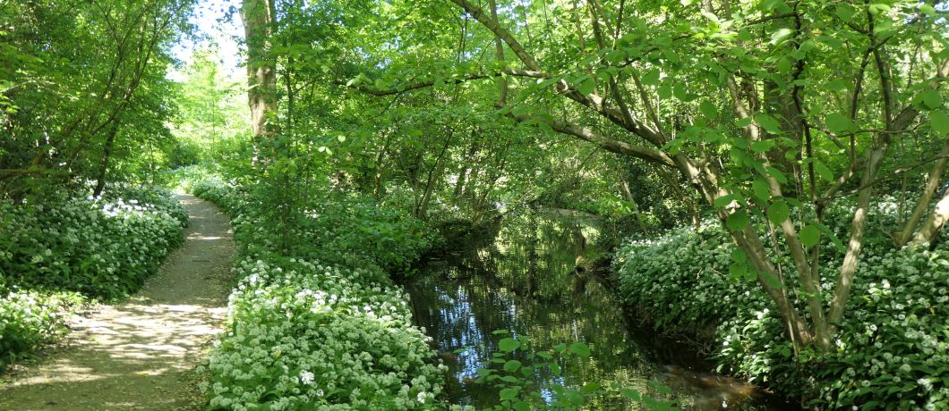Sloten en bos in park Frankendael tijdens de wandeling Betondorp.